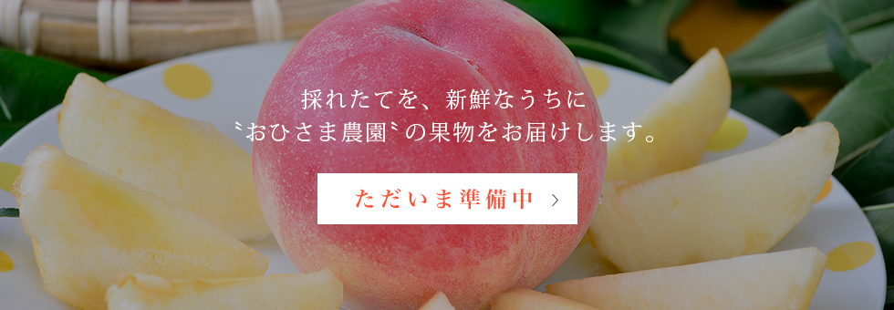 採れたてを、新鮮なうちに。福島の野菜、果物、お米、加工品をお届けしています。オンラインストアを見る