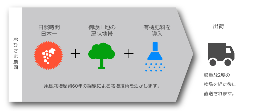 出荷前に必ず農作物の検査をし放射能測定を行っております